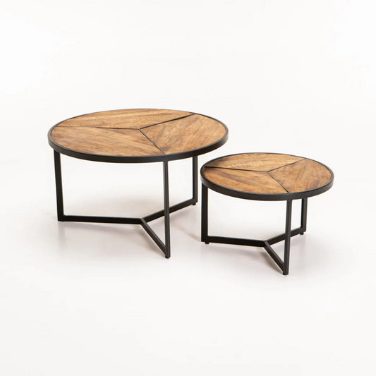 2 Piece Versatile Coffee Tables